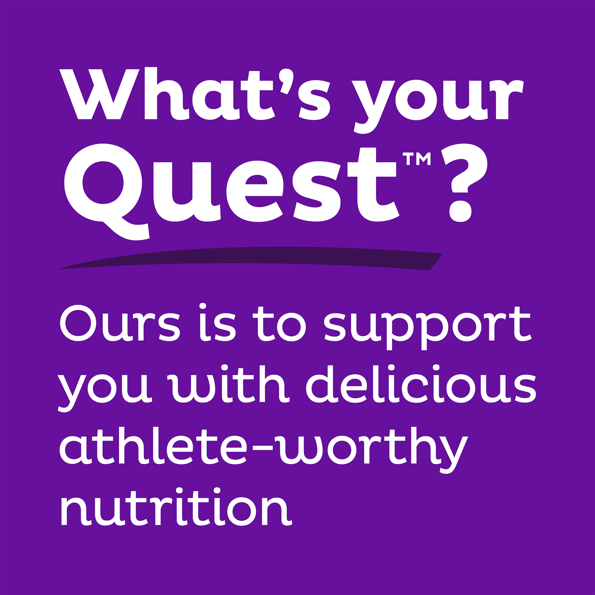 double-chocolate-chunk-protein-bars-i3 qst-000241_double-chocolate-chunk-protein-bars_9.png