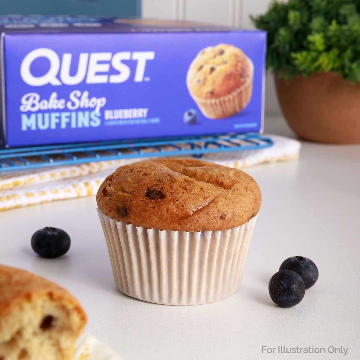 bake-shop-blueberry-muffins-d7 qst-013395-bake-shop-blueberry-muffins_7.jpg